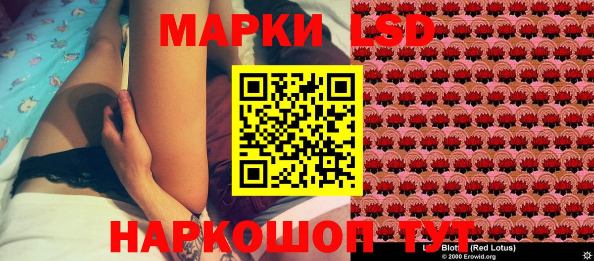 Пугачёв  Марки NBOMe  Вход с VPN  Марки NBOMe 1,8мг 