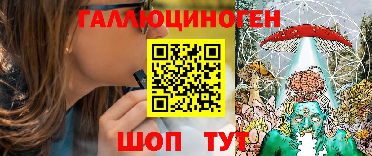 Псилоцибиновые грибы Psilocybe Пугачёв