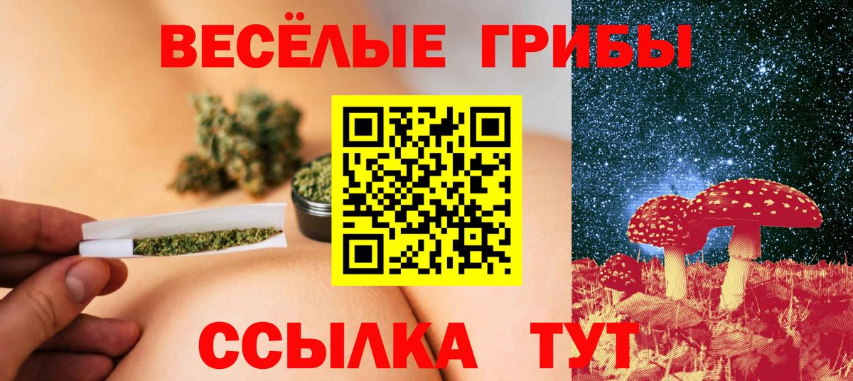 Псилоцибиновые грибы мицелий  цена наркотик  Псилоцибиновые грибы Psilocybe  Пугачёв  Вход с VPN 